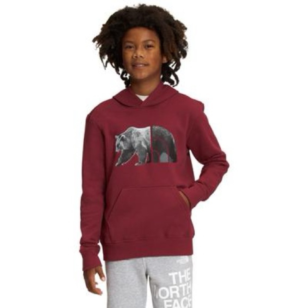 The North Face Men's Burgundy Hoodie